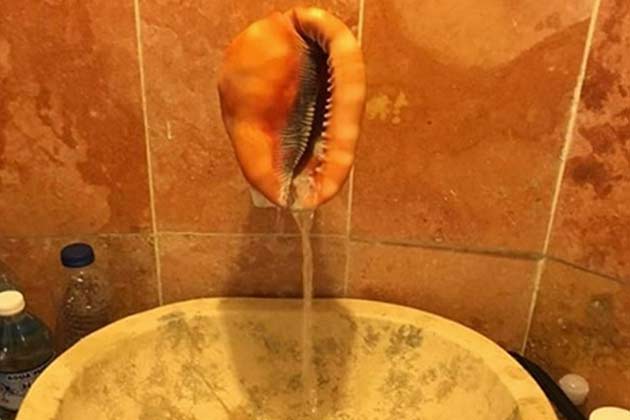 A Venus Faucet Trap