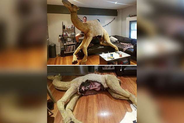 A Fancy Sleeping Bag