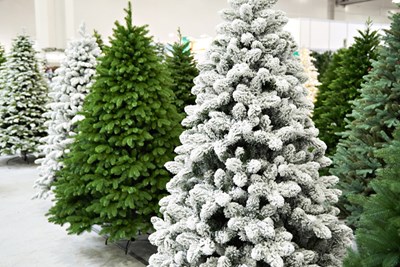 Christmas Tree Deals