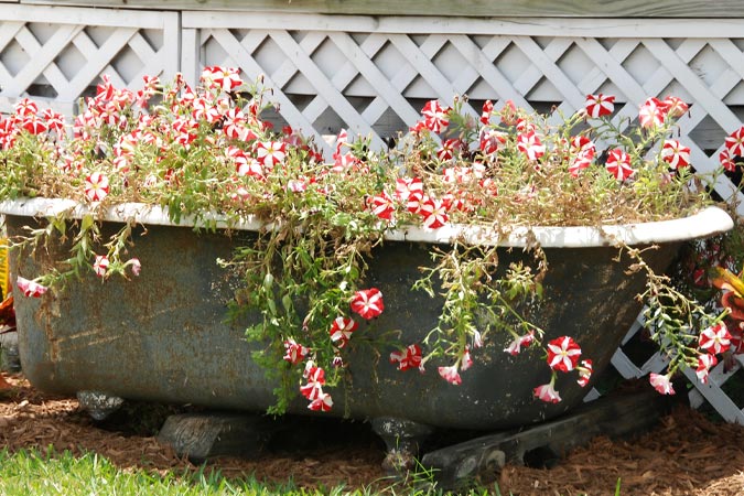 Jardineras de Bañera
