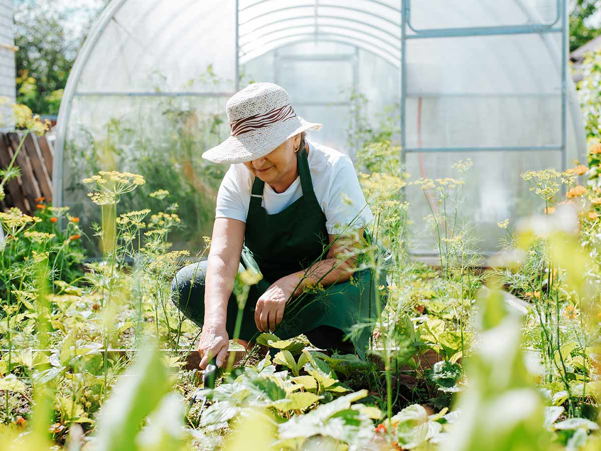 An All-Purpose Apron