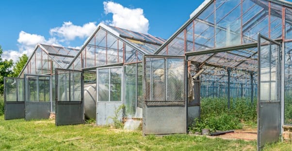 greenhouses