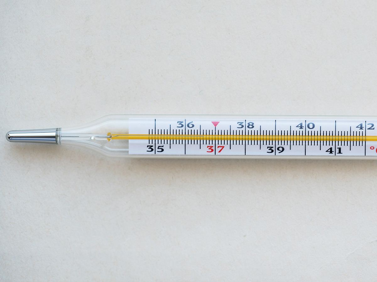 Mercury Thermometers