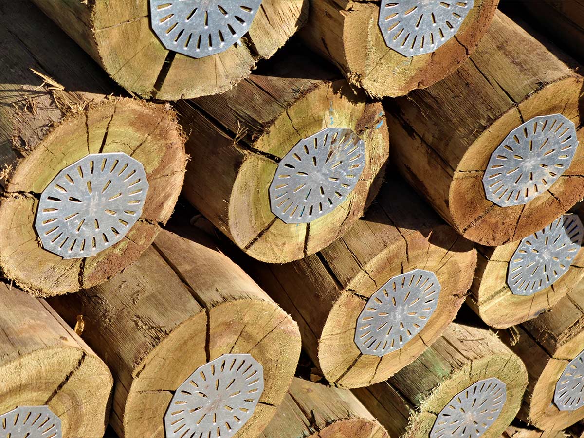 Arsenic-Laden Wood Preservatives