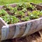 Five Creative Containers For Your Garden