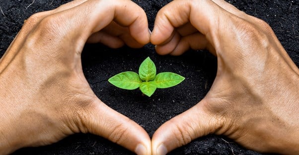 A heart formed with a farmers hands around a growing plant