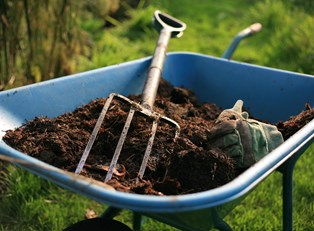 Organic Gardening: What Supplies Will You Need?