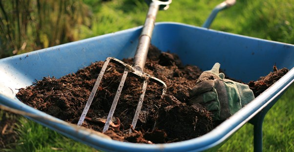 Tools used in organic gardening