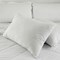 Bed Bugs and Bedding: How to Fight and Prevent an Infestation
