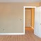 Mold Inspection: What Is the Cost?