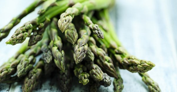 10 Delicious Asparagus Recipes  main image