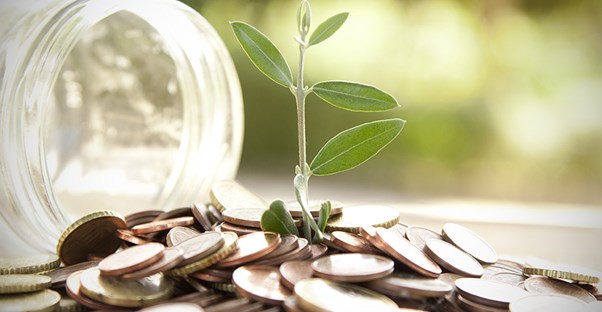 small tree growing out of jar of coins