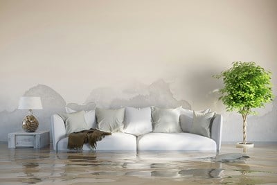 Home Flood Insurance: 10 Terms to Know