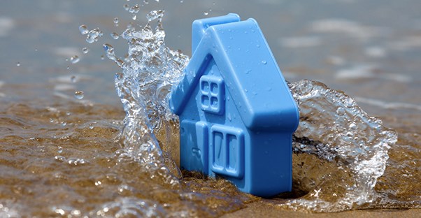 toy house in water