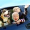 5 Reasons Why You Need Pet Insurance