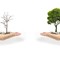 5 Myths About Private Equity