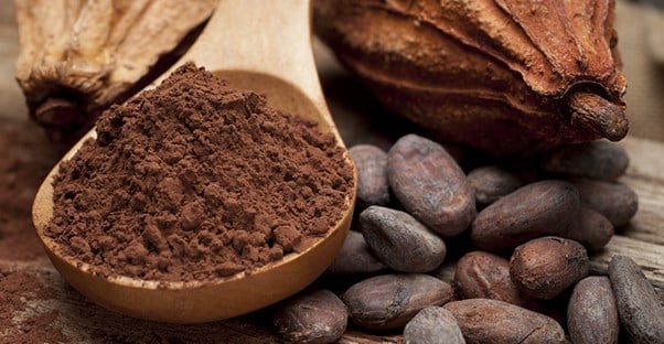 dark brown coffee bean or cocoa powder commodities laying on a wooden table