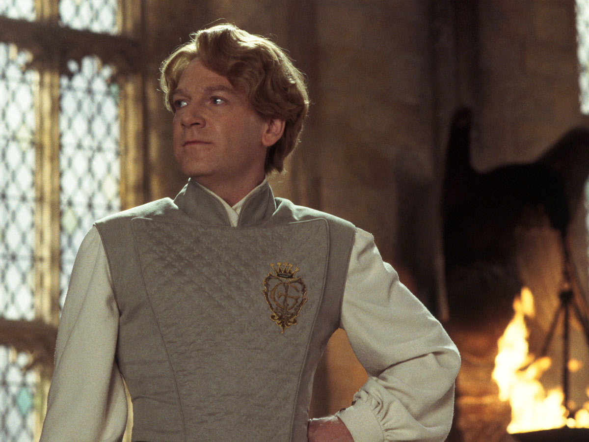 Professor Lockhart - "Harry Potter"