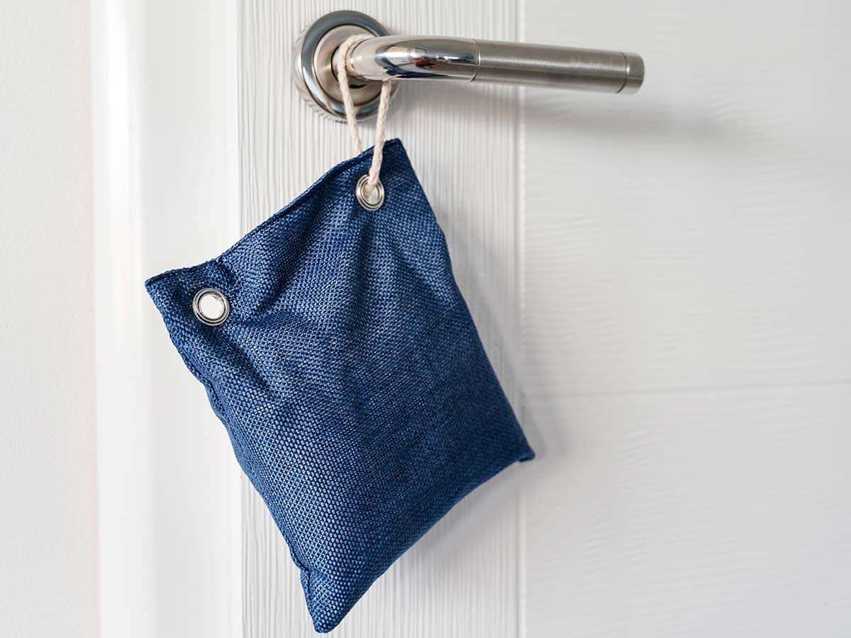 Charcoal Bag for Odors