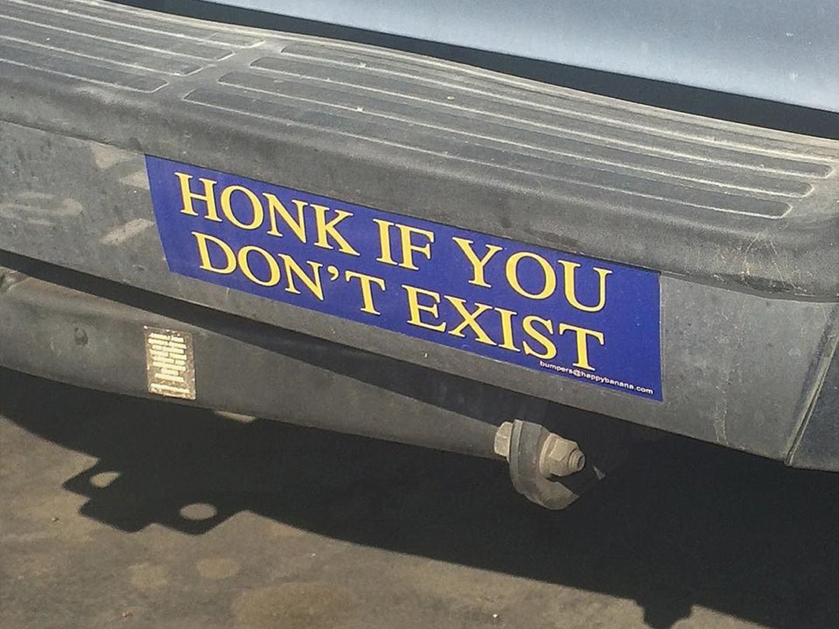 I Think Therefore I Honk