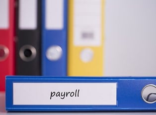 Pros and Cons of Payroll Services