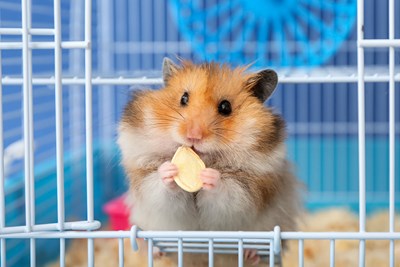 15 Craziest Things Your Taxes Are Paying For