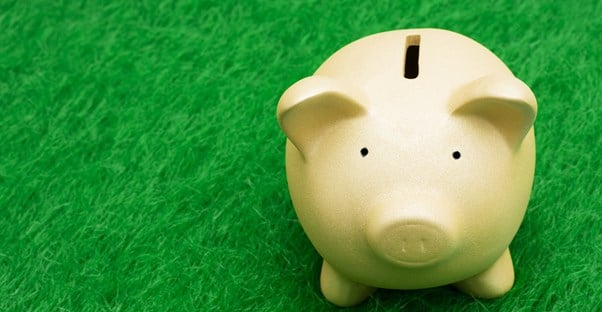 A piggy bank on green grass to represent how savings accounts work.