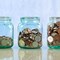 Savings Accounts: How Many Kinds Are Available