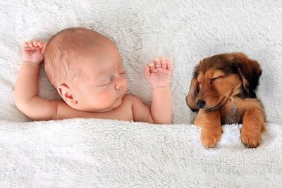 Raising Babies vs Feeding Puppies: The Costs of Parenthood