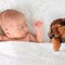 Raising Babies vs Feeding Puppies: The Costs of Parenthood