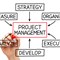 What is Project Management?