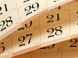 Understanding Ovulation