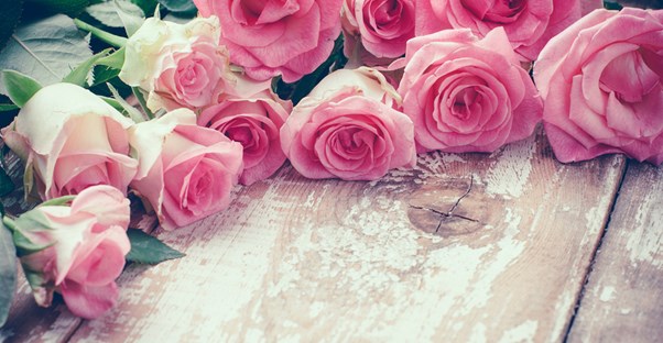 Valentine's Day roses.