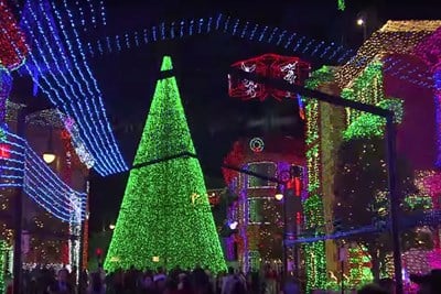 The Osborne Family Spectacle of Dancing Lights at Disney Hollywood Studios is one of the largest Christmas light displays in the nation.