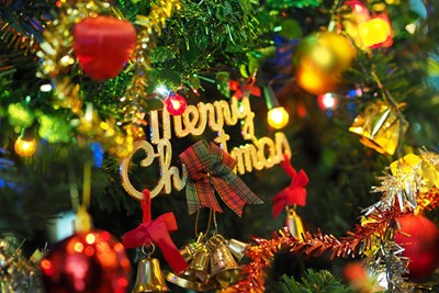 Where Should You Celebrate Christmas?
