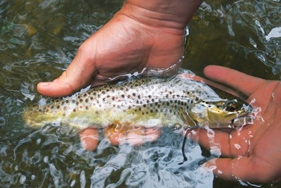 A great fishing destination