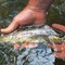 25 Best Fishing Destinations for Reeling in the Big One