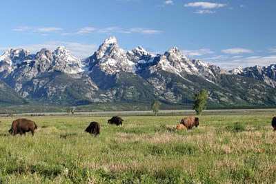 State Bucket List: Wyoming