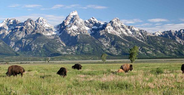 State Bucket List: Wyoming