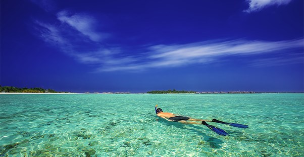Snorkel These Locations with the Clearest Waters main image