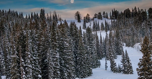 The 15 Best US Skiing Destinations Outside Colorado main image