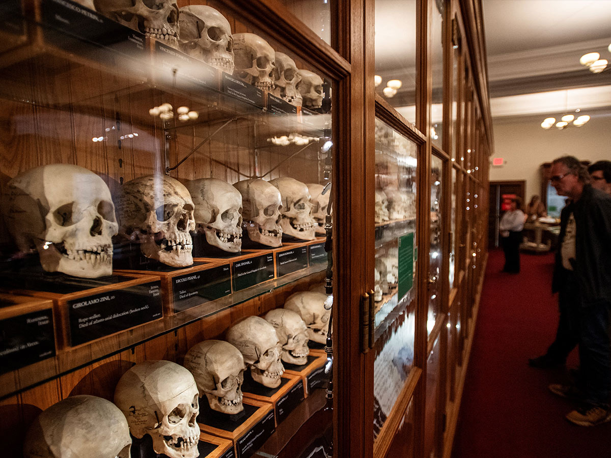 The Mütter Museum—Philadelphia, PA