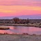 Can You Guess Which U.S. State This Scenery Is In?