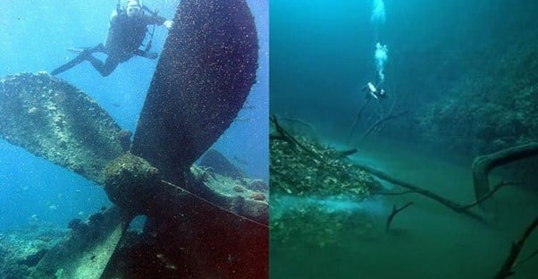 30 Hauntingly Bizarre Things in the Ocean Depths main image