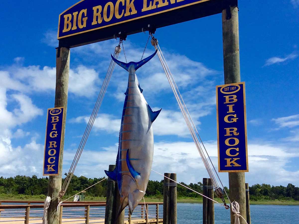 North Carolina - World Record Largest Blue Marlin