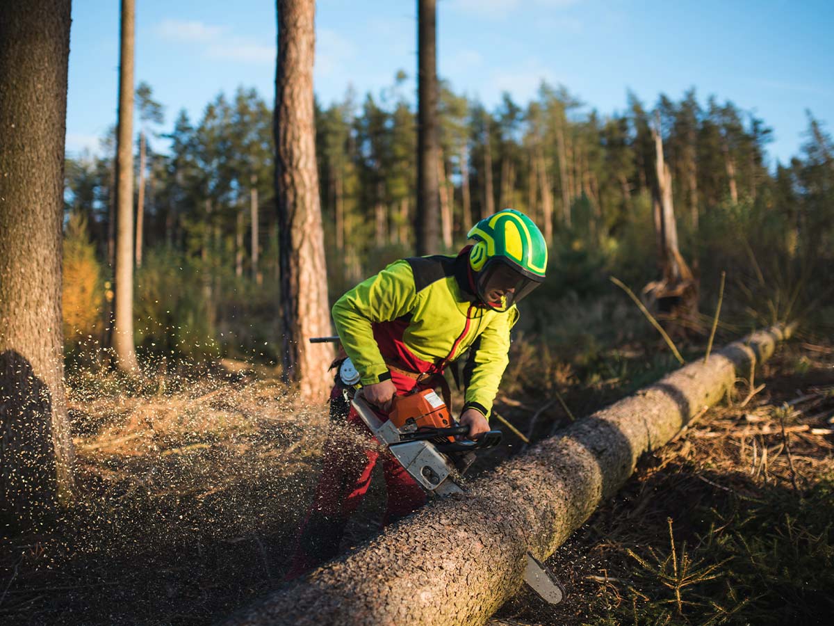 Jimmy Rane (Alabama)