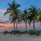 Journey to Key West: Hemingway's Tropical Utopia
