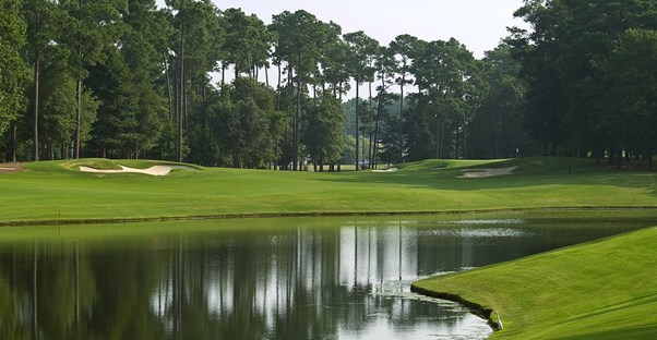 a lake in the center of a forested golf course