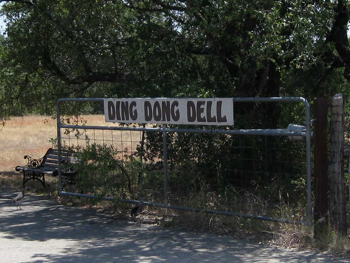 Ding Dong, Texas