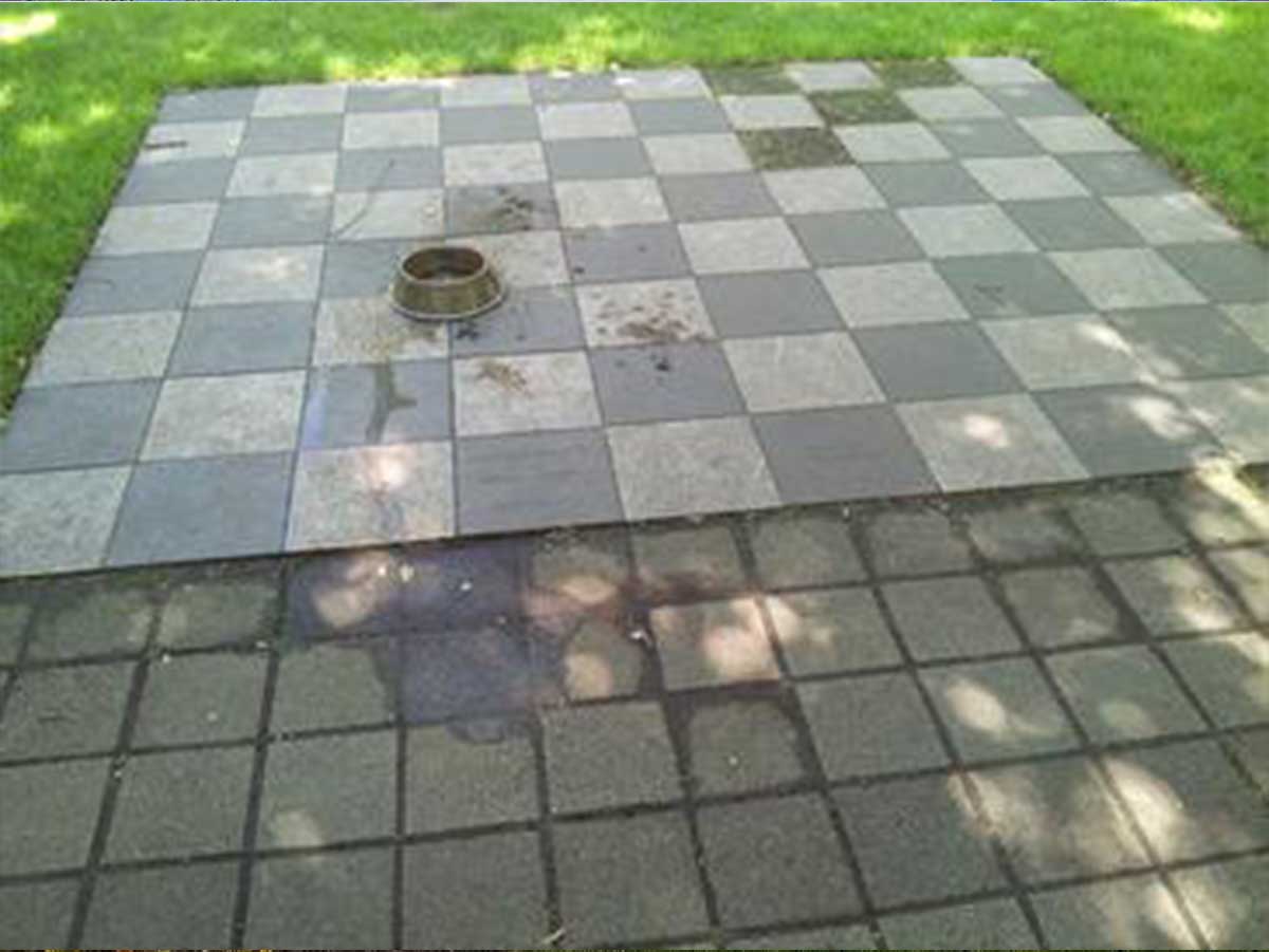 Oregon - Portland Dog Bowl